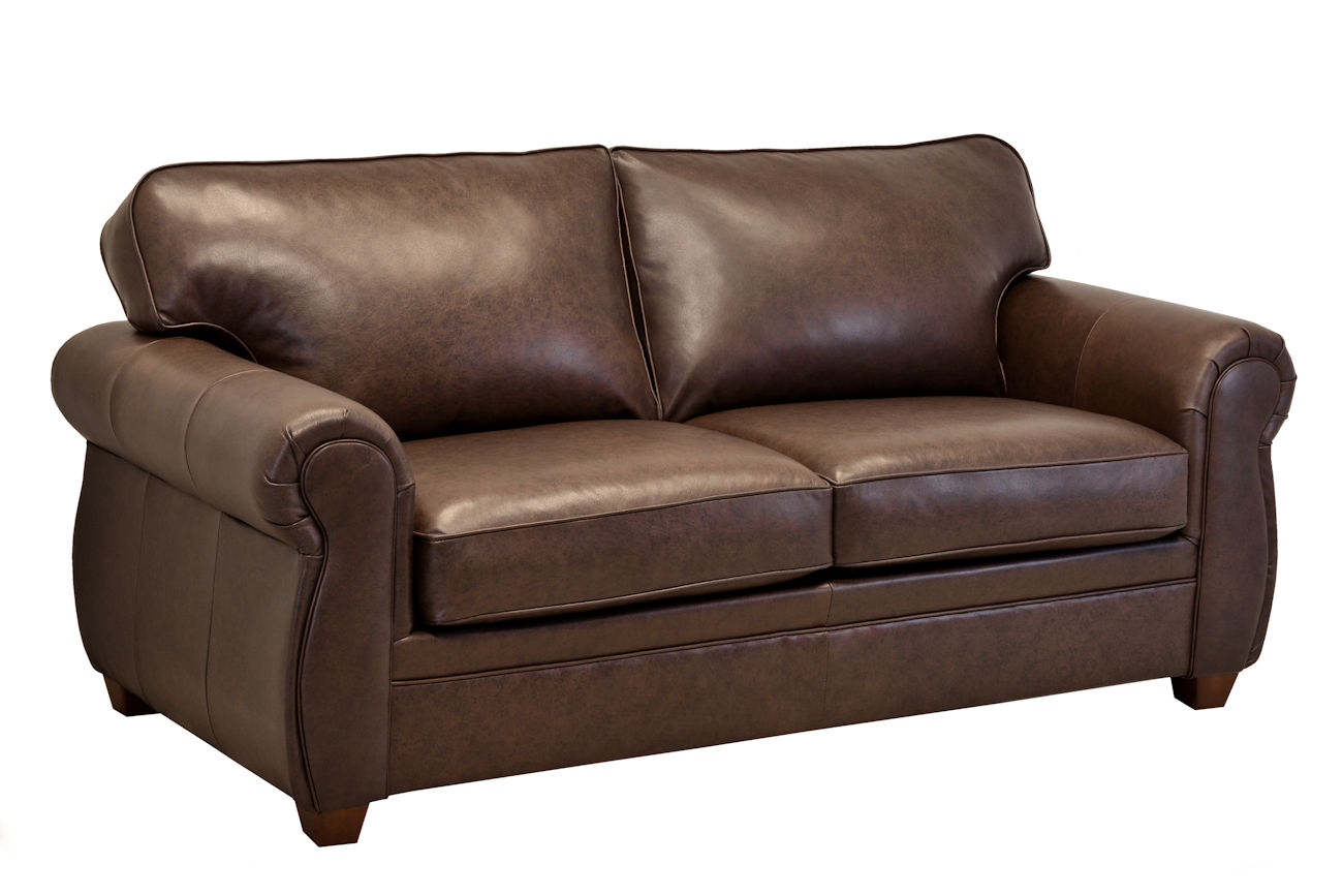 lacrosse leather sleeper sofa